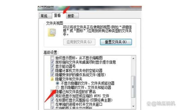 win7文件夹和搜索选项灰色游戏截图