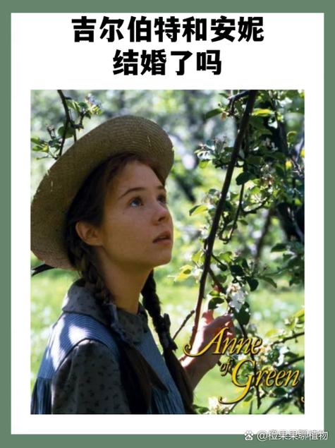吉尔伯特对安妮成长的影响