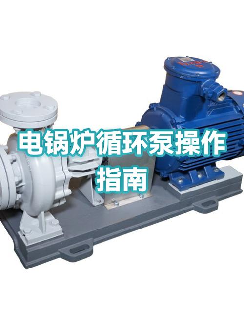 电锅炉循环泵一直工作正常吗游戏截图
