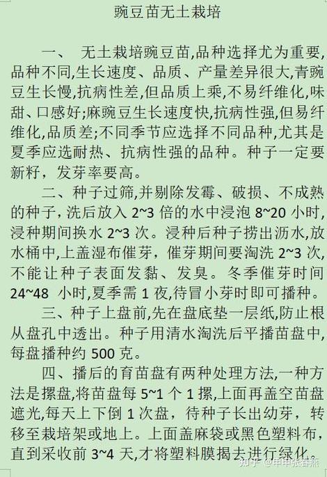 种豌豆苗的方法步骤