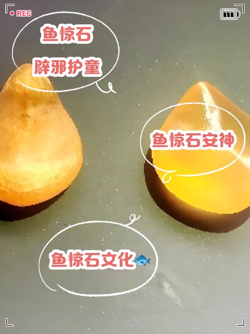 鱼化石镇宅还是招阴