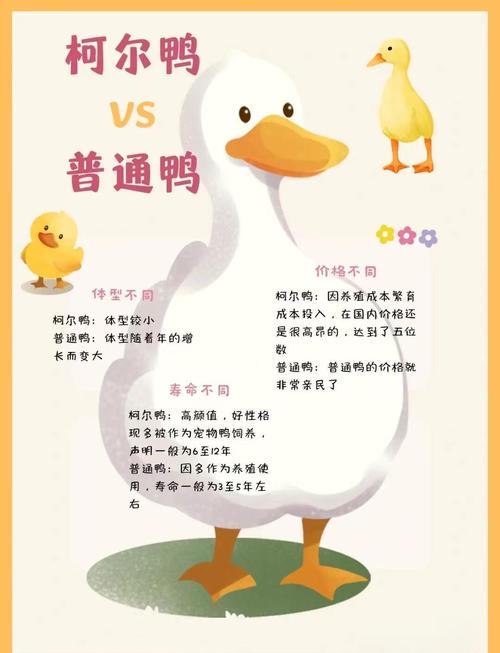 养鸭高情商发圈句子图标