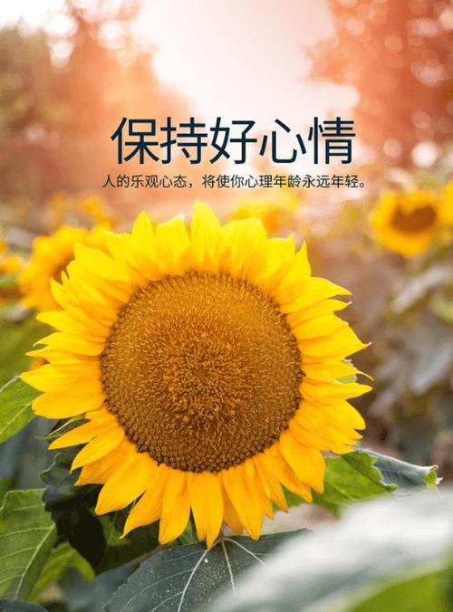 人生苦短,快乐至上