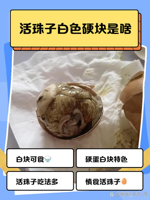活珠子里面的白色硬块能吃吗图标