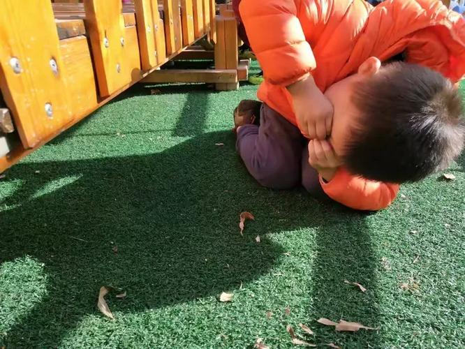 勇敢小星星小说免费阅读