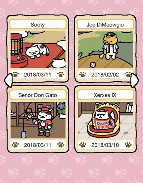 猫咪后院特殊猫