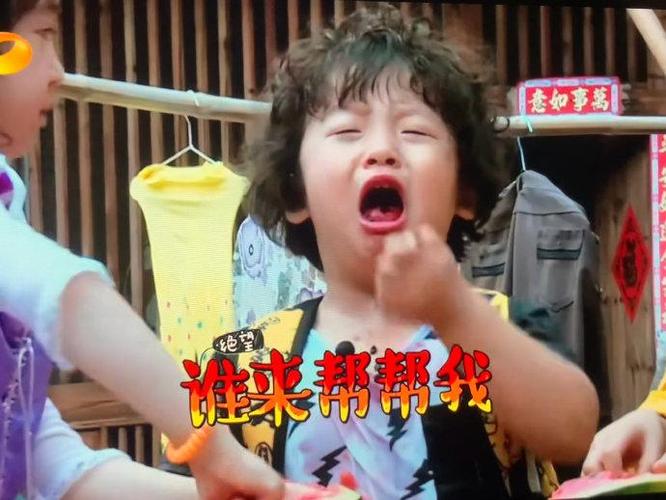 该请谁来帮帮我视频