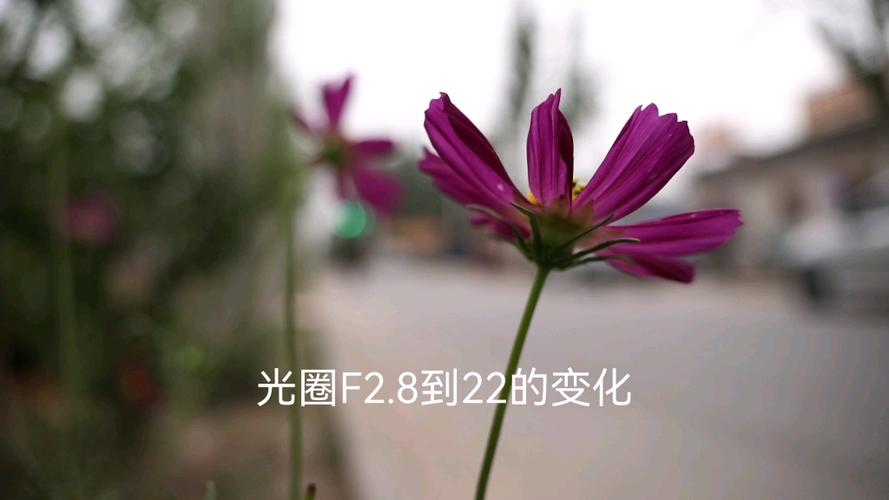 大光圈和小光圈哪个更清晰