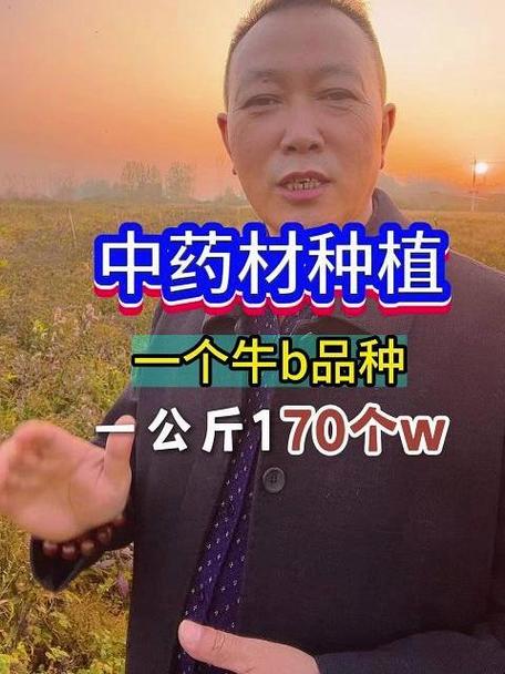 种药材哪个好收入高