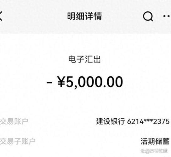 被上海汇付数据的转走5000