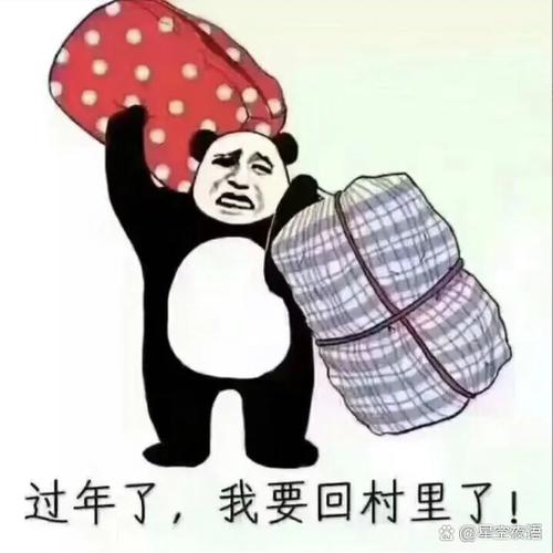 穷人过年经典语句缩略图