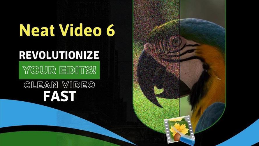 neatvideounregisterend翻译