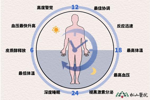 小睡眠原理