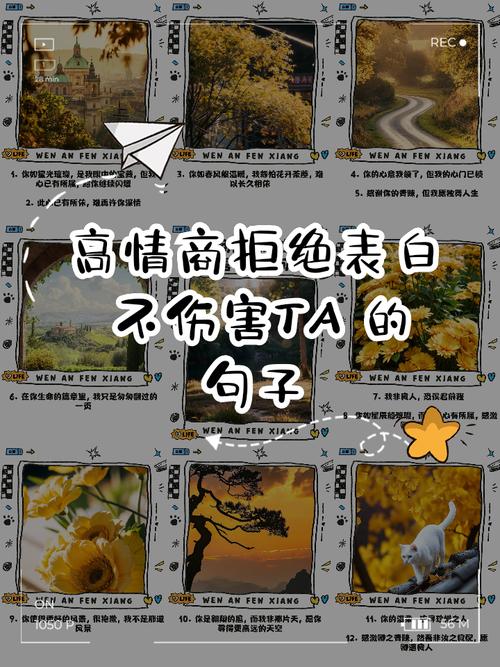 高情商拒绝男生的表白图标