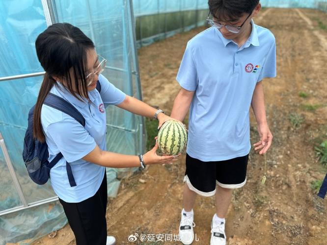 西瓜同城官网