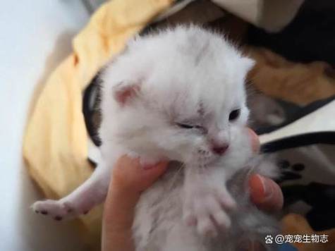 眼睛摸摸糊糊是怎么回事截图