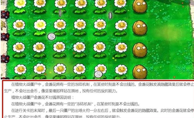 植物大战僵尸95怎么刷金币