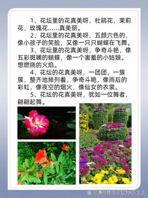 赞美花很漂亮的句子