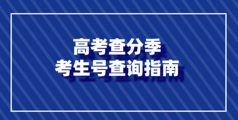 高考报名号怎么查
