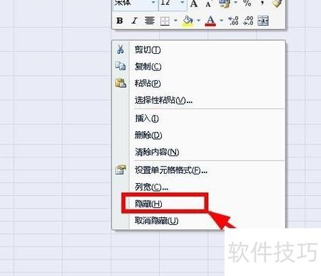 excel单元格输入内容不显示