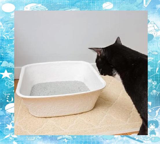 猫砂放在哪里比较合适缩略图