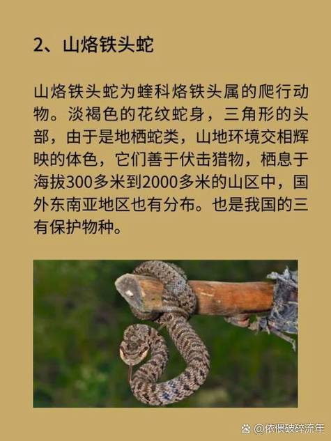 中国蛇患最严重的省份
