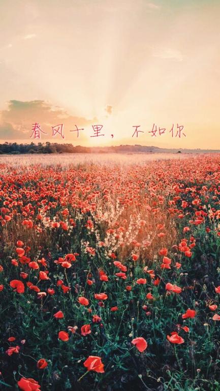 万物生长和春风十里不如你
