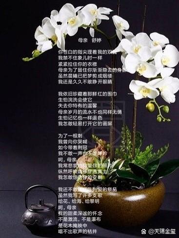 舒婷《母爱》原文