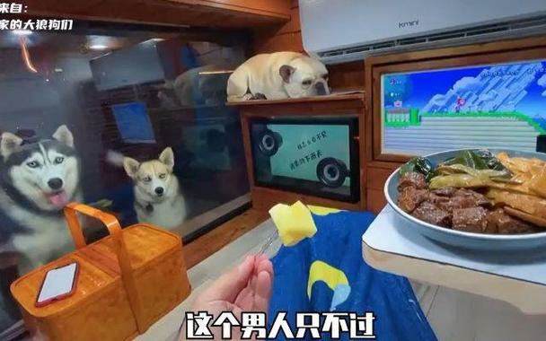 老哥建造最隐蔽的豪华基地视频