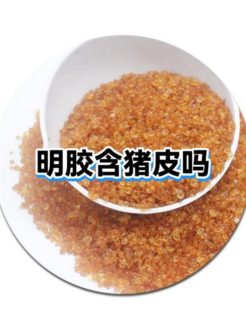 猪皮明胶的制作