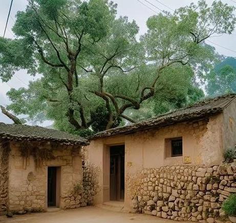 原始山村的幸福生活图标