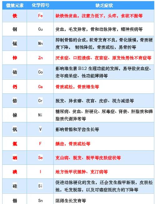 人体前四位元素