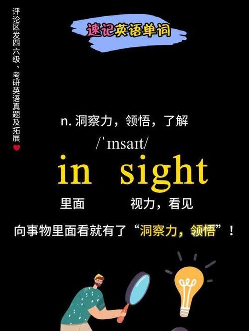 insight翻译成中文