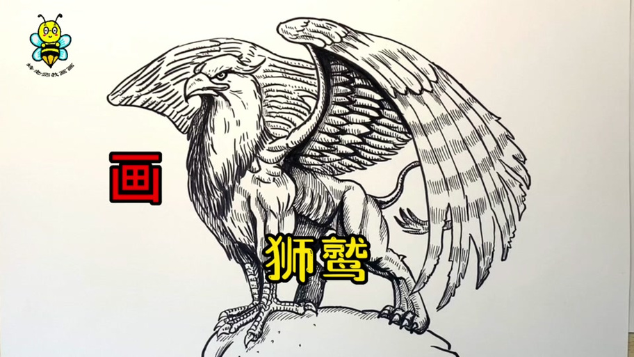一步一步画狮鹫大帝