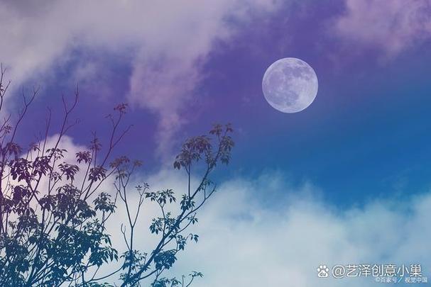 深篮与月光台剧缩略图