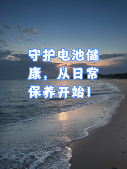 电池存放多久才没电