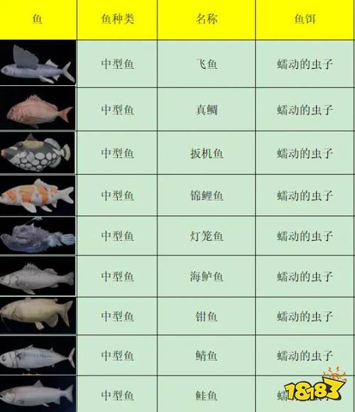所有鱼图鉴及最新位置