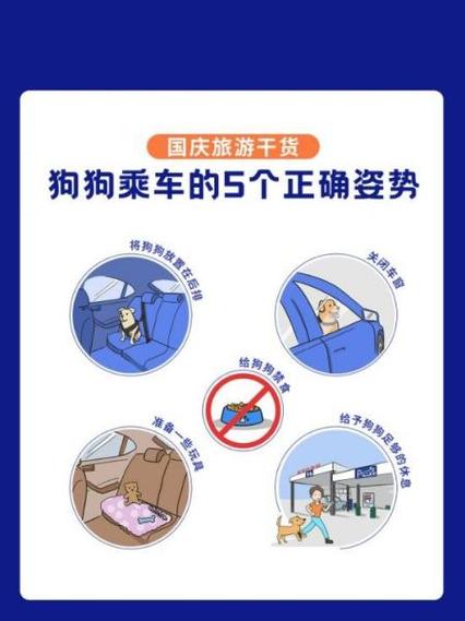 狗狗一天要出去溜几次缩略图