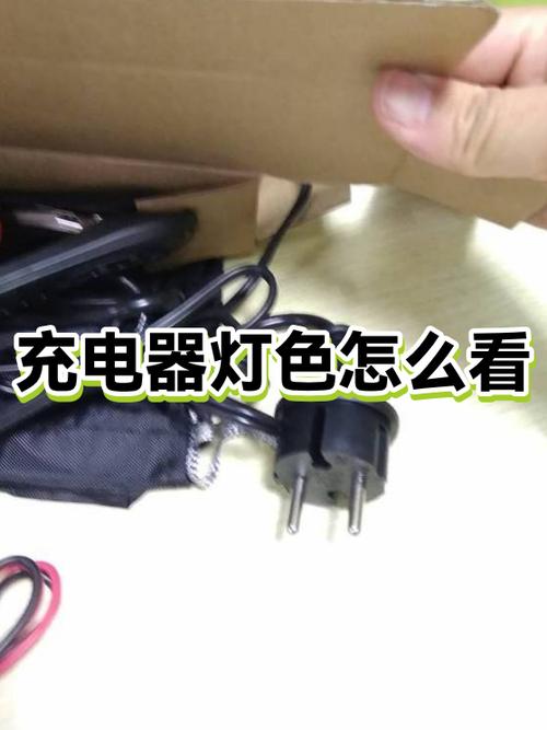 充电器浮充灯亮闪是什么意思啊图标