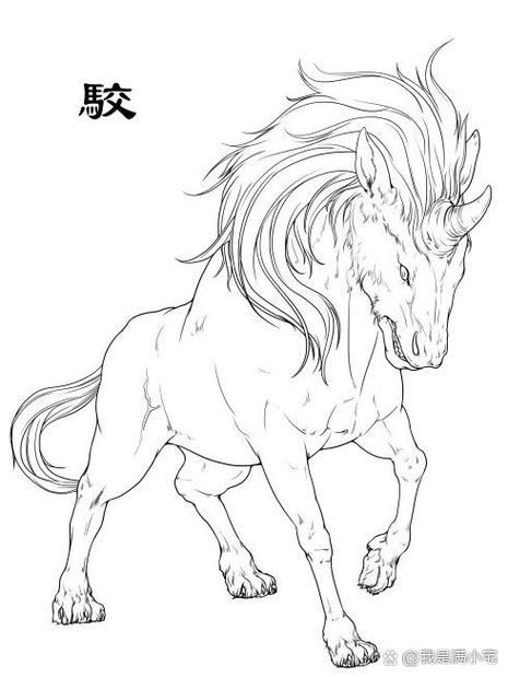 《山海经》原文及翻译