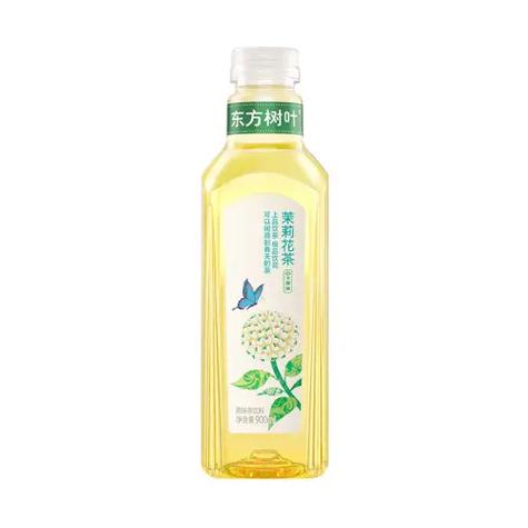 东方树叶是什么