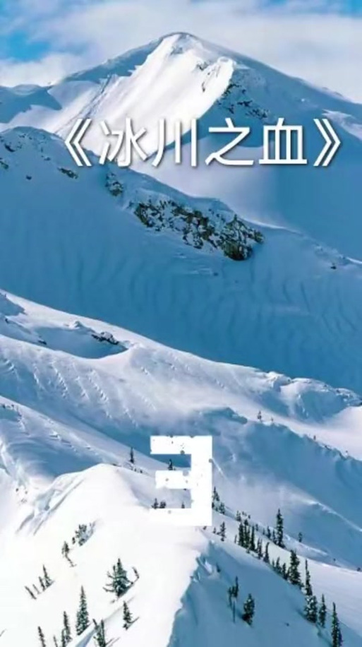 冰川小说免费下载手机游戏截图