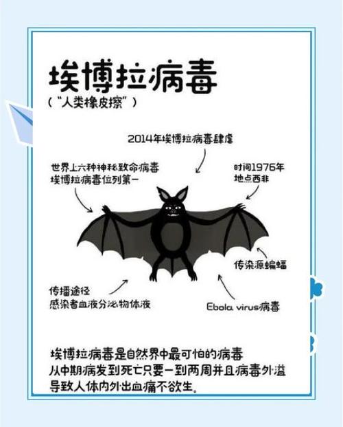 mers病毒是什么病毒图标