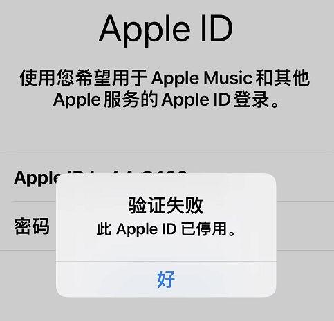 苹果无法验证ID