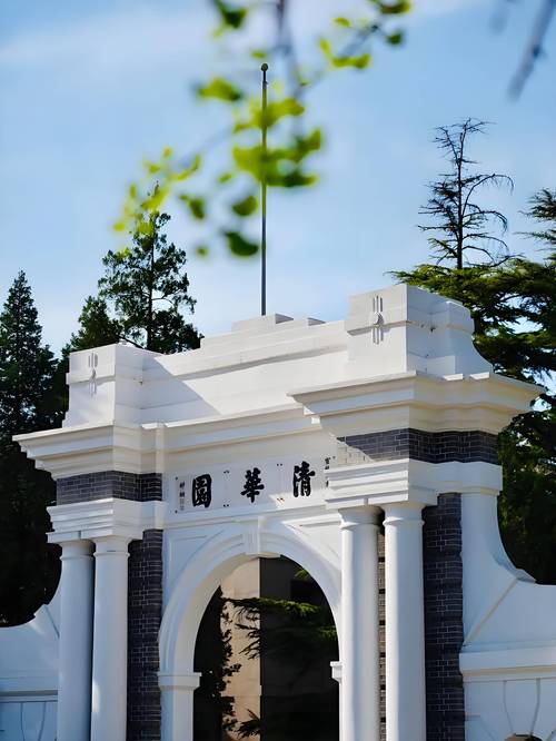 细狗逃离清华北大合集