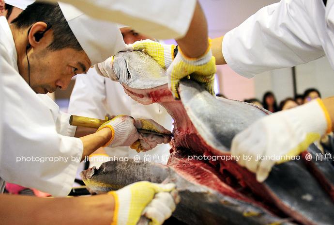 开金枪鱼全过程