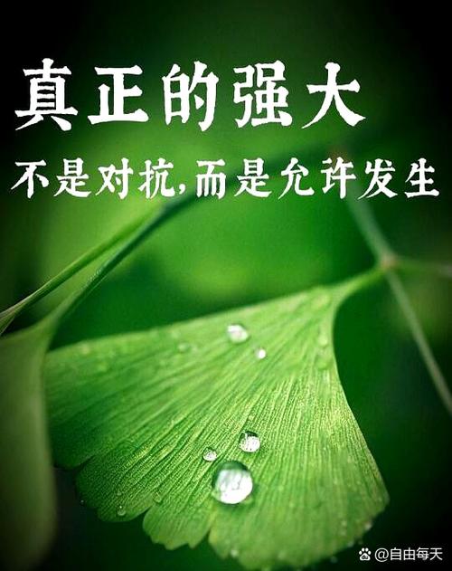 引用别人的话图标