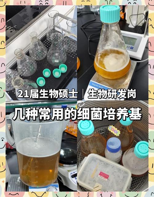 小培养基3.4.6官方正版下载最新版本