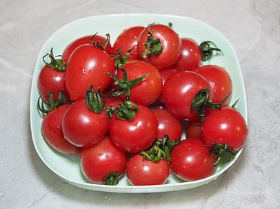 番茄的果实是什么截图