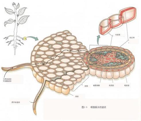 theway的同义词游戏截图